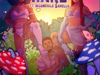 Moliy Hard Mp3 Download