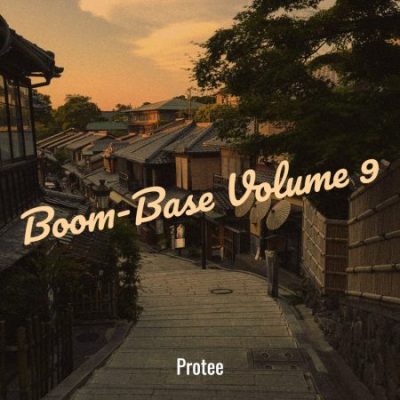Pro Tee Boom-Base Volume 9 Album Download