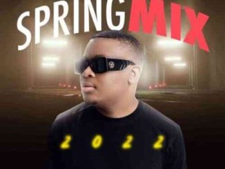 Snow Deep Spring Mix 2022 Download