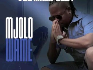 Vee Mampeezy Mjolo Wame Mp3 Download