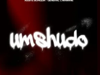 Assiye Bongzin Umshudo Mp3 Download