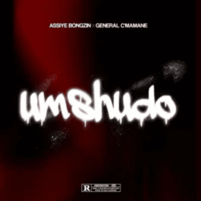 Assiye Bongzin Umshudo Mp3 Download