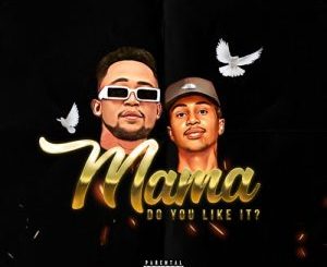 BuddySA Mama Do You Like It Mp3 Download