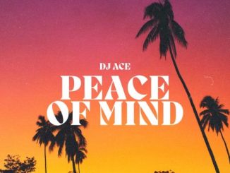 DJ Ace Peace of Mind Vol 47 Mix Download