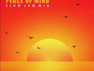 DJ Ace Peace of Mind Vol 48 Mix Download