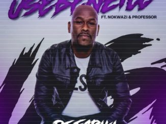 DJ Fariki Usebenzile Mp3 Download