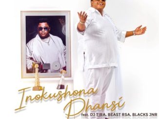 Dladla Mshunqisi Inokushona Phansi Mp3 Download