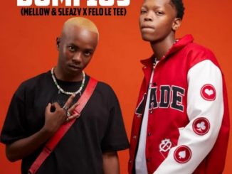 Dumi 105 To mellow & Sleazy X Felo Le Tee Download