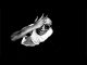 Espacio Dios Pelo Video Download