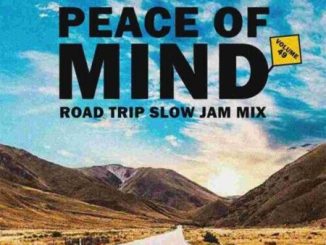 DJ Ace Peace of Mind Vol 49 Mix Download