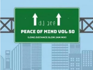 DJ Ace Peace of Mind Vol 50 Mp3 Download
