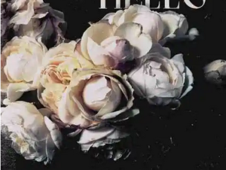 DJ Geewave Hello Mp3 Download