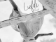 DJ Kazu Liefde Mp3 Download