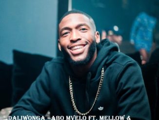 Daliwonga Abo Mvelo Remix Mp3 Download