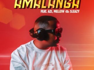 Goodguy Styles Amalanga Mp3 Download