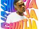 Soul Revolver Shintja Mp3 Download