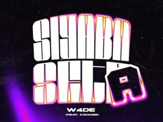 W4DE Siyaba Seta Mp3 Download