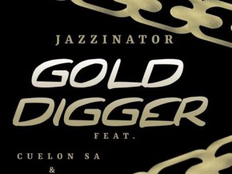 JazziNator ‎Gold Digger Mp3 Download