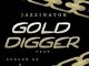 JazziNator ‎Gold Digger Mp3 Download