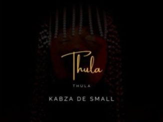 Kabza De Small Thula Mp3 Download