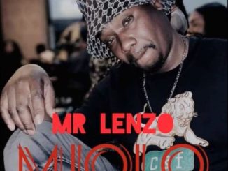 Mr Lenzo Mjolo Mp3 Download