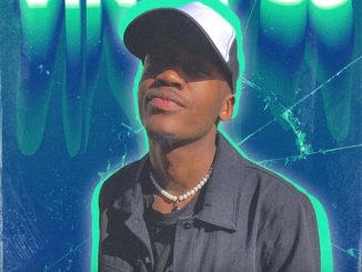 Vinny06 Siren Mp3 Download