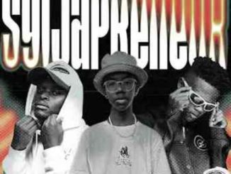 W4DE Sgijapreneur Mp3 Download