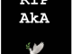 Burna Boy Tribute To Aka Mp3 Download