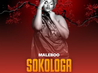 Maleboo Sokologa Mp3 Download