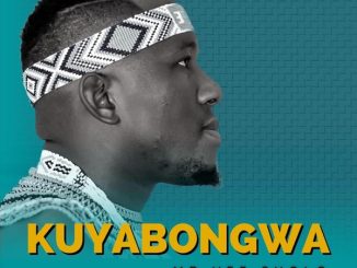 Mr Vee Sholo Isandla Mp3 Download