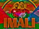 Fiso el Musica Imali Mp3 Download