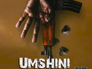 Frenzy Bouy Umshini Mp3 Download