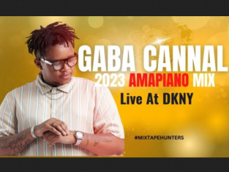 Gaba Cannal DKNY Amapiano Mix 2023 Mp3 Download