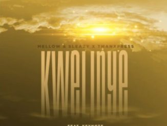 Mellow & Sleazy Kwelinye Mp3 Download