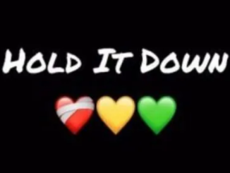 Robot Boii Hold It Down Mp3 Download