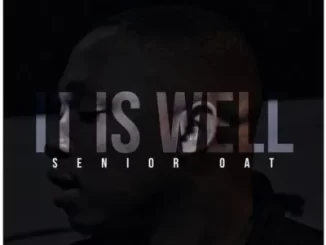 Senior Oat It Is Well EP Download