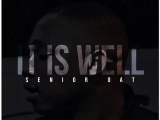 Senior Oat It Is Well Mp3 Download