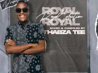 Thabza Tee Royal Selection Vol. 13 Mix Download