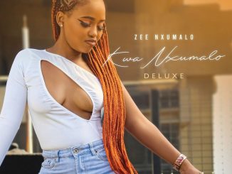 Zee Nxumalo Imizwa Mp3 Download