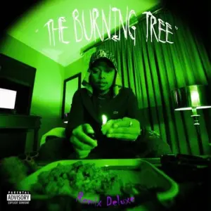 A-Reece The Burning Tree Remix Mp3 Download