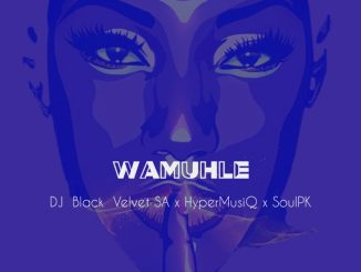 DJ Black Velvet SA Wamuhle Mp3 Download