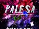 Hloni L MusiQue Palesa Mp3 Download