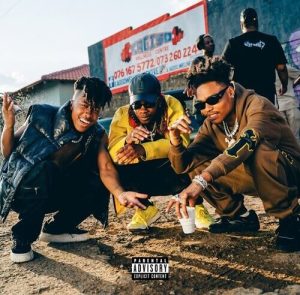 Majorsteeze Check Freestyle Mp3 Download
