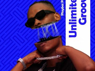 Playboi Picasso Unlimited Groove Album Download