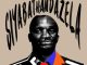 SoulPoizen Siyabathandazela Mp3 Download