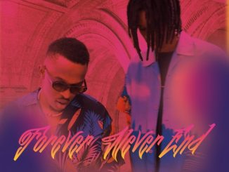 808x Forever Never End EP Download