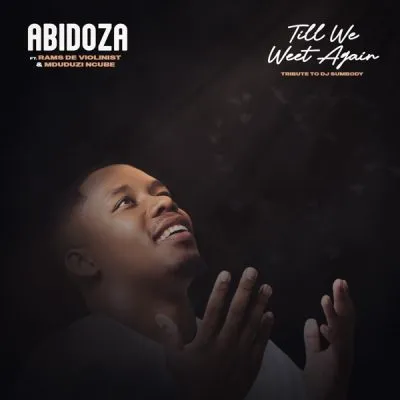 Abidoza Till We Meet Again Mp3 Download