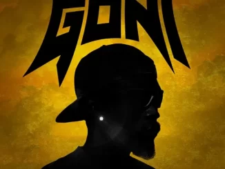 Given Da Chief Goni Mp3 Download