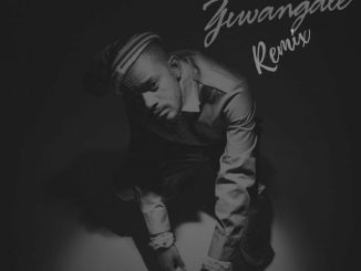 Kabza De Small Ziwa Ngale Remix Mp3 Download