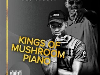 M&S Groove Kings Of Mushroom Piano Album Download